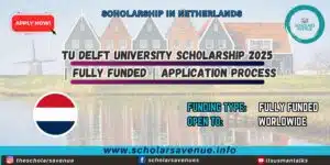 TU Delft University Scholarship